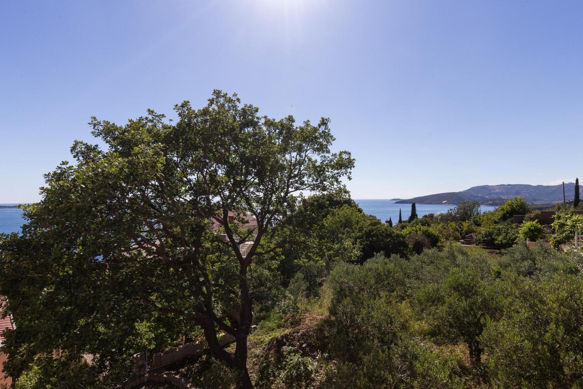 Villa Dubravka Mlini Quarto foto